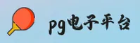 pg电子官方网站